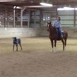 Meet your Posher, Terri